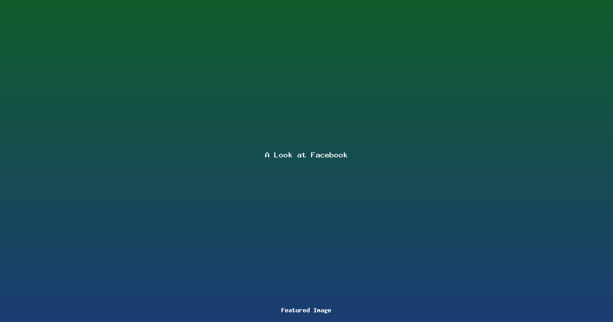 A Look at Facebook
