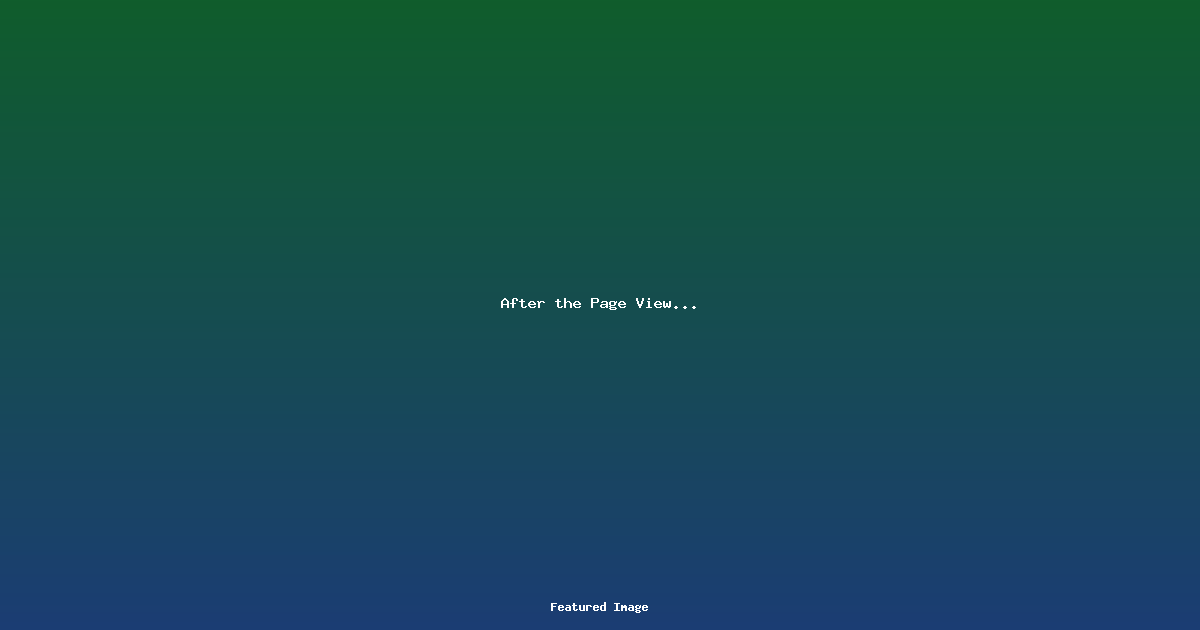 After the Page View…