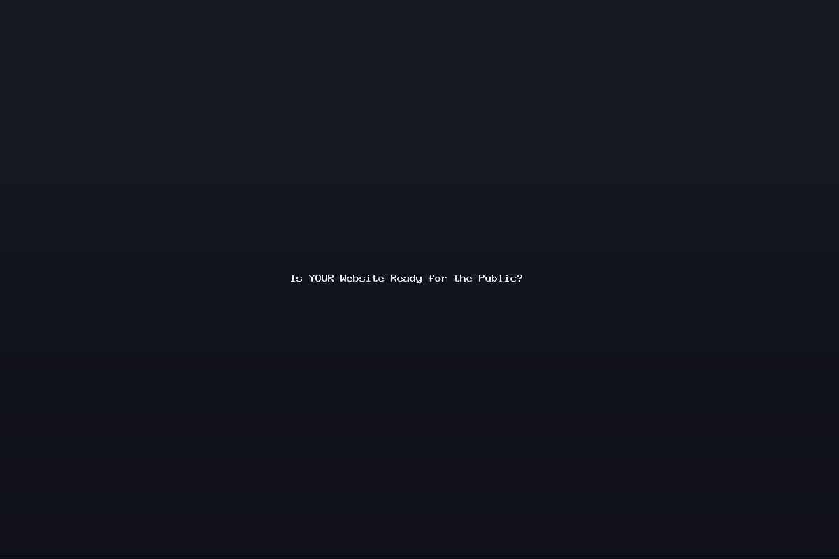 Is YOUR Website Ready for the Public?